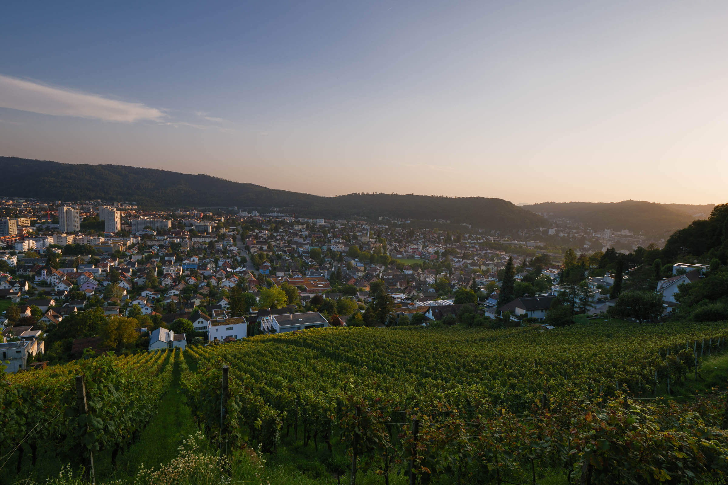 06 Wettingen Panorama