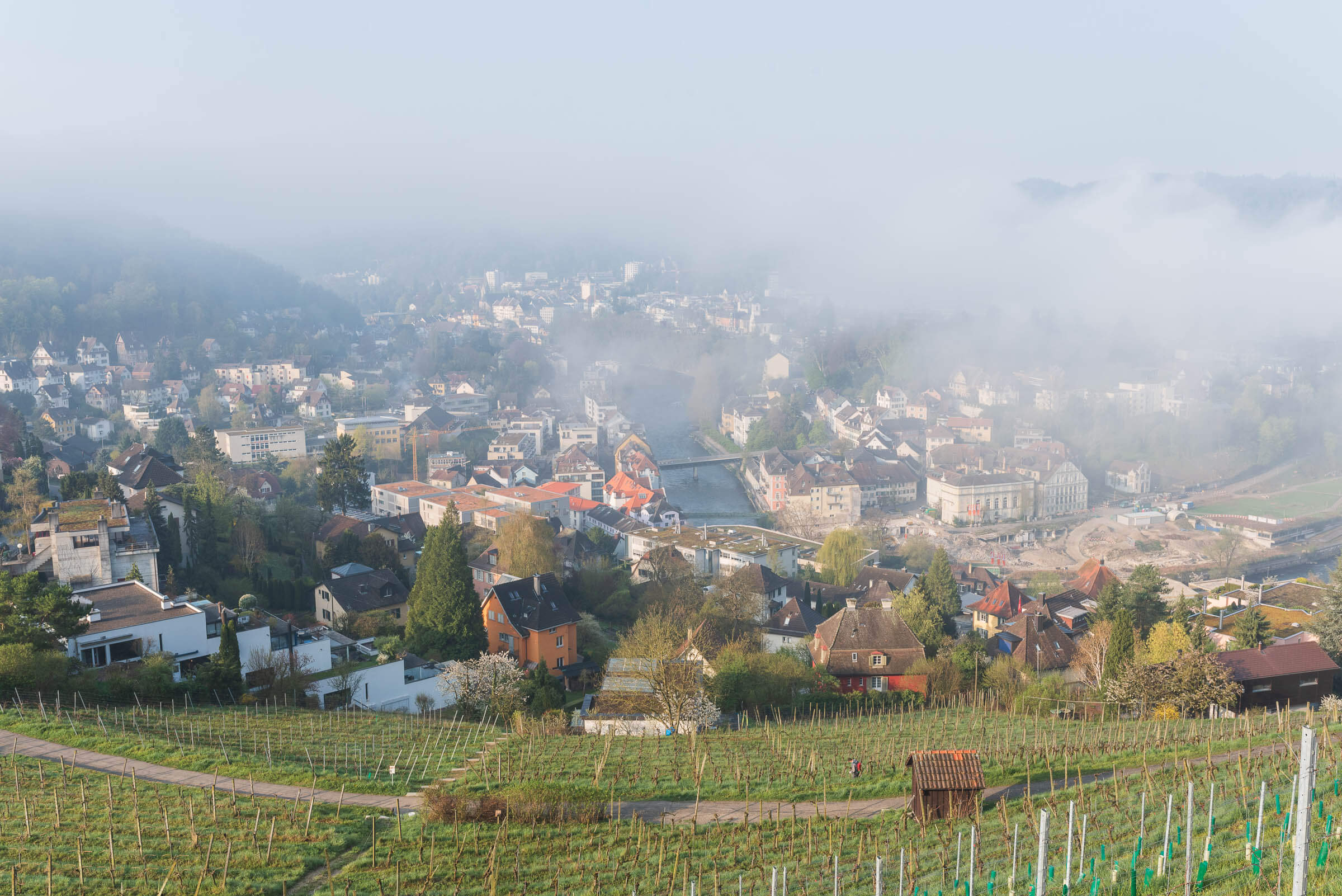 40 Rebberge Ennetbaden